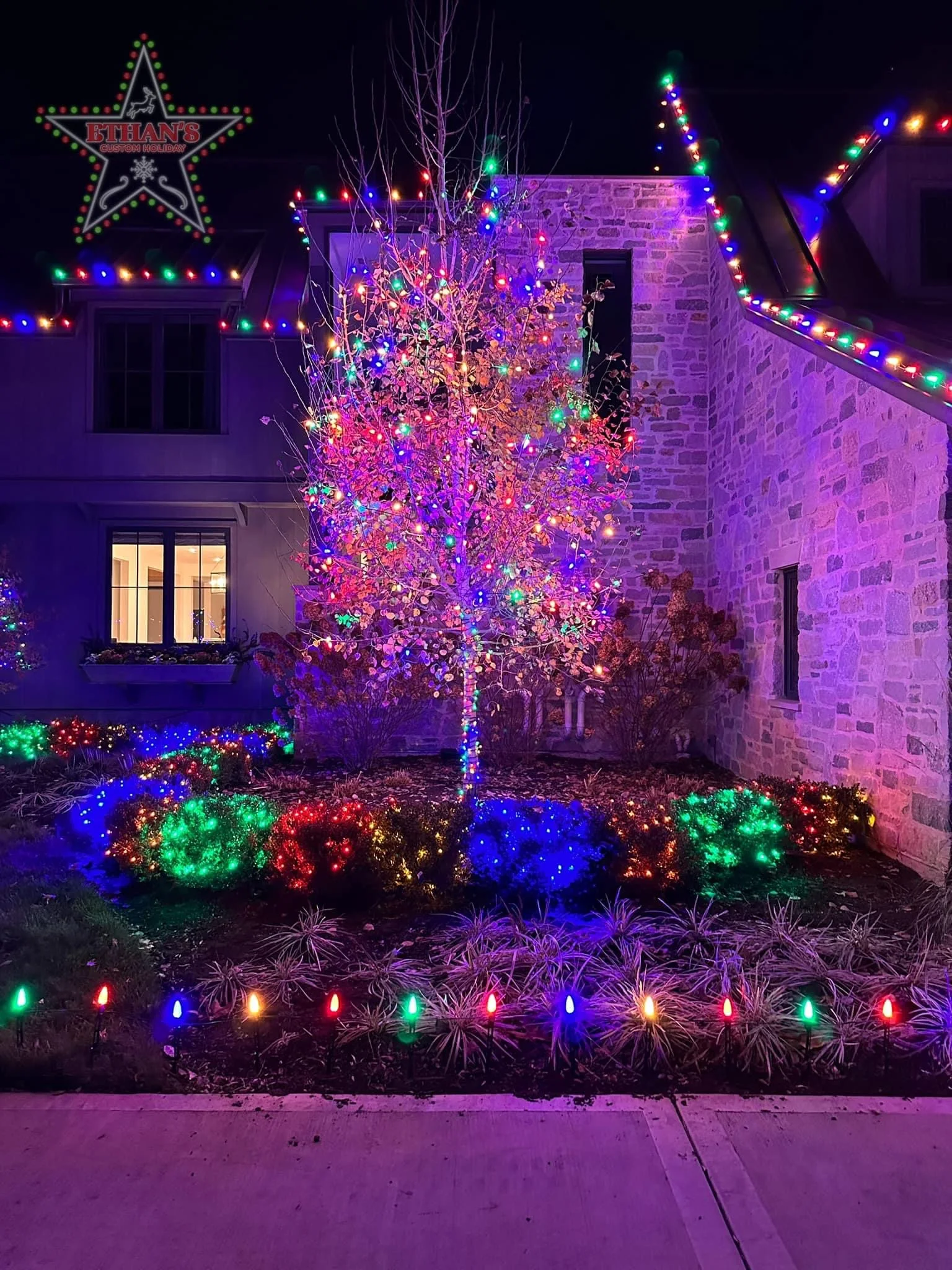Colorful illuminated evergreens lining a curved walkway