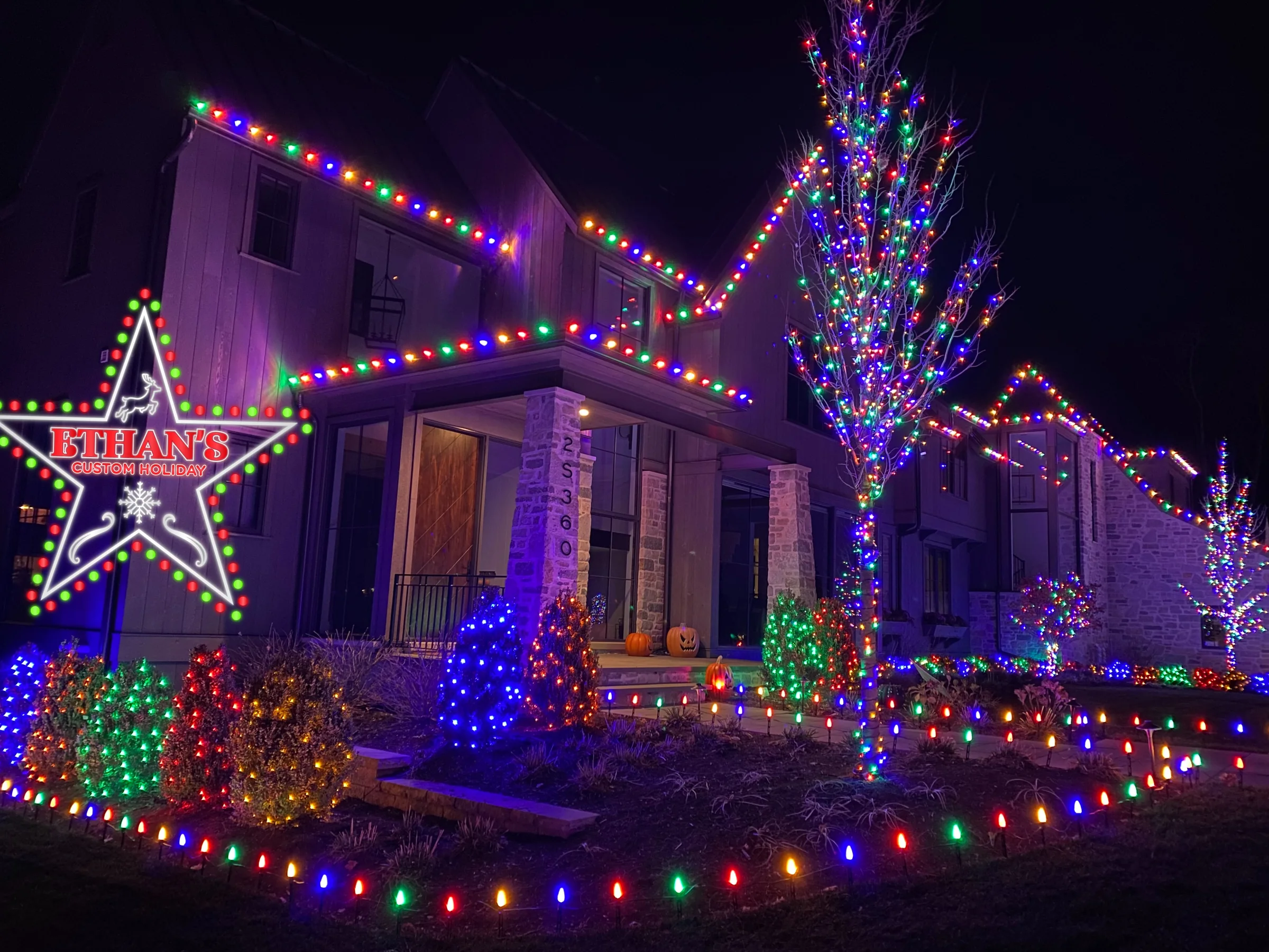High-energy multicolor roof, tree, shrub, and ground lighting