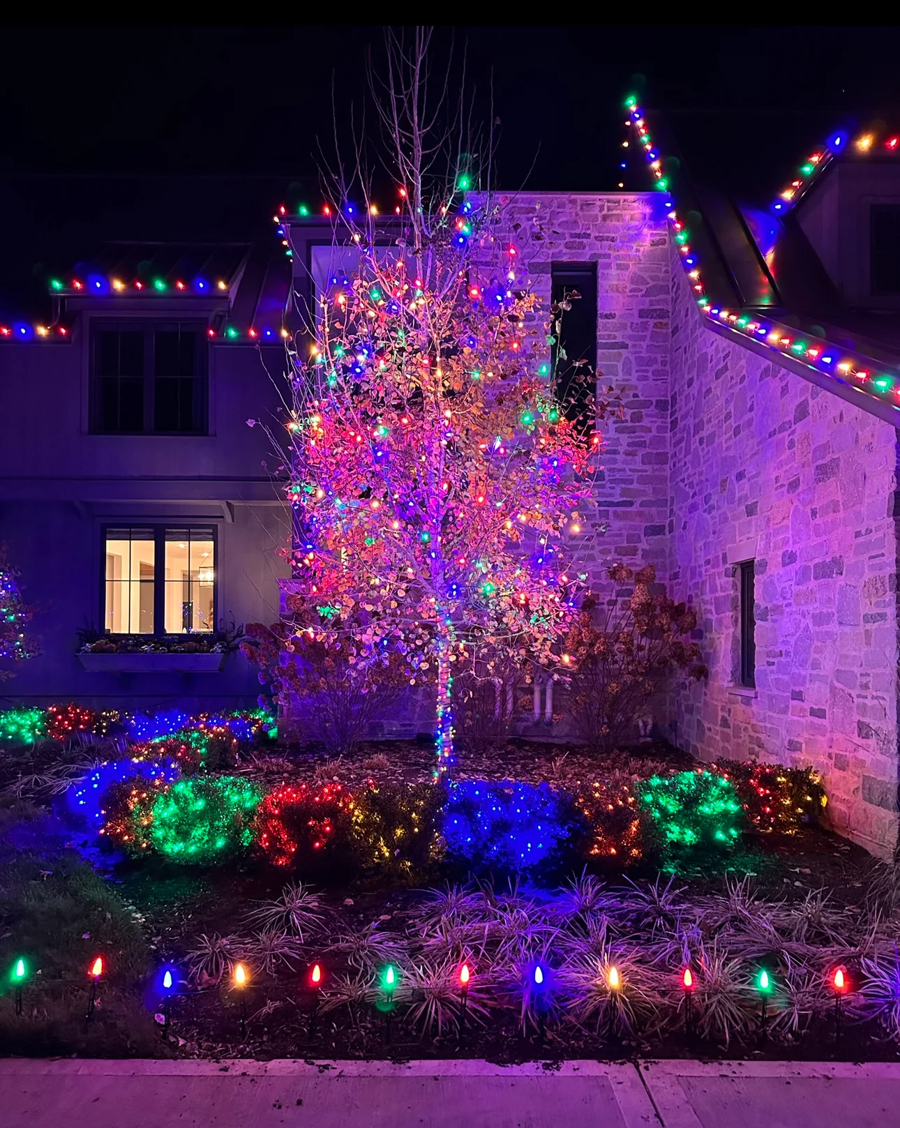 Multicolor tree, shrub, and roofline holiday lighting